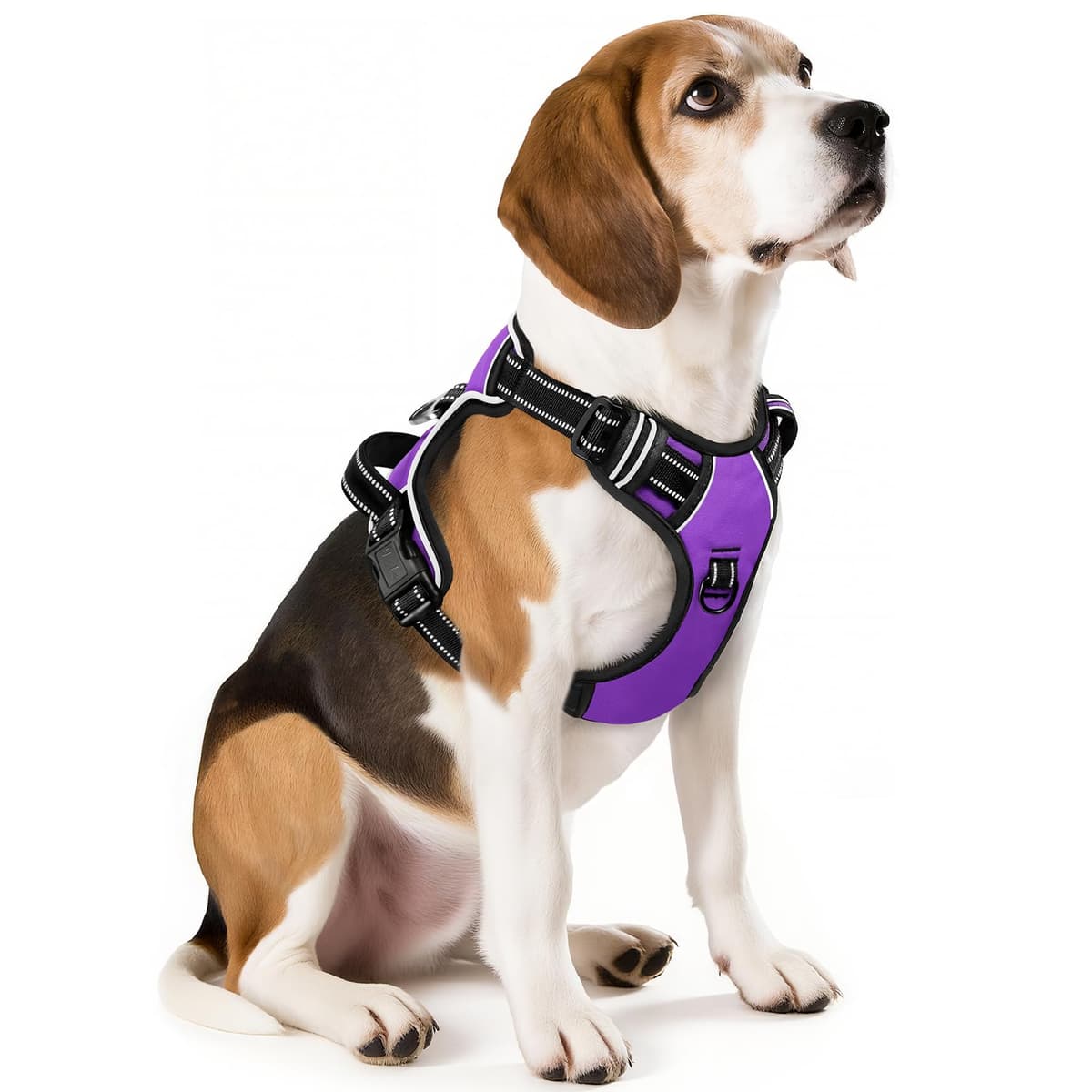 HEELE Arnés Reflectante para Perro, con Control de Mango Acolchado, 2 Anillos de Metal, arnés para Perros pequeños, medianos y Grandes, Flores-Negro, L — view 53