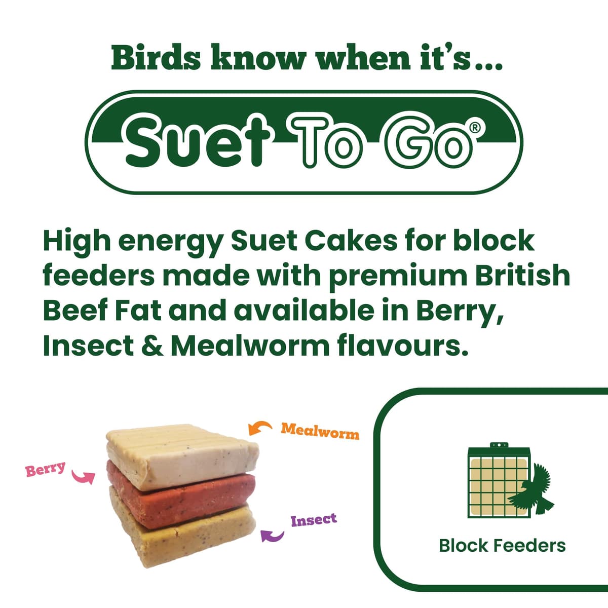 Suet To Go Mealworm Suet Block Wild Bird Treat, 300 g ( Pack of 10) (Packaging may vary) — view 2