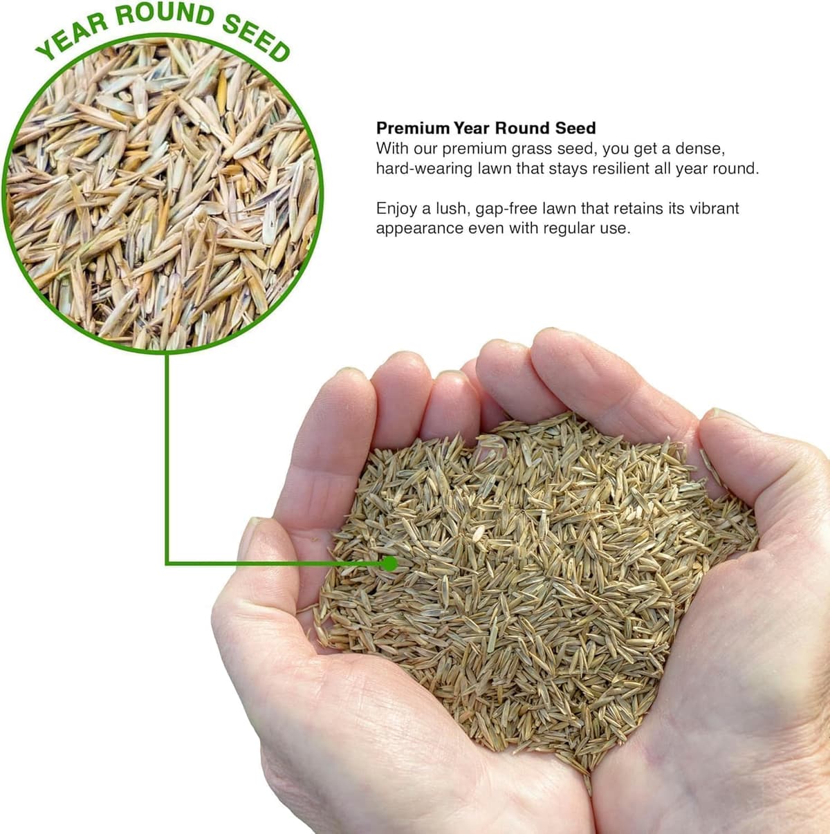 GroundMaster Premium Lawn Grass Seed – 1KG Hard Wearing & Fast Germination Grass Seeds for Family Lawns and Gardens, Coverage
