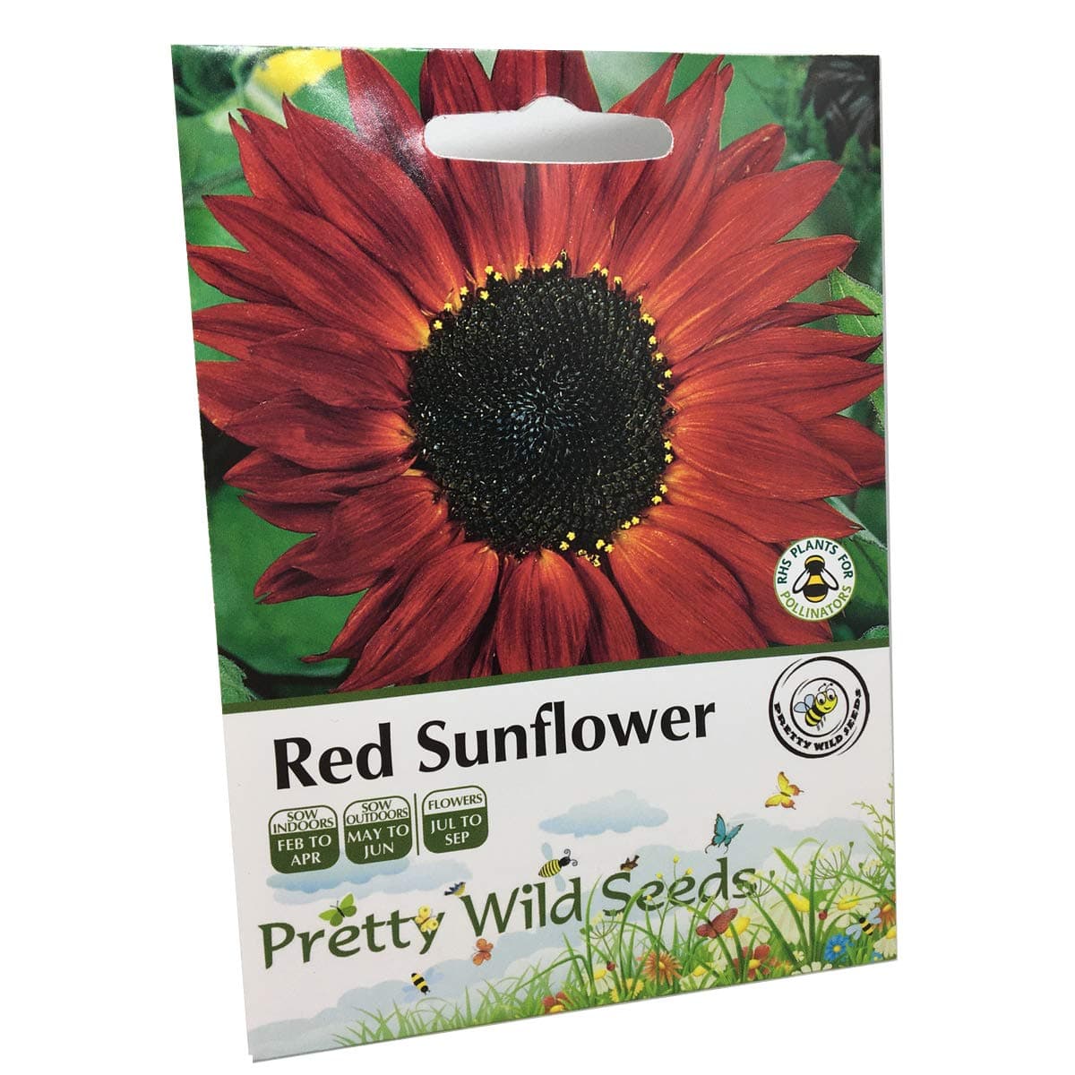 Red Sunflower Seeds UK 80 Helianthus Packet Flower Seeds by Pretty Wild Seeds — view 2