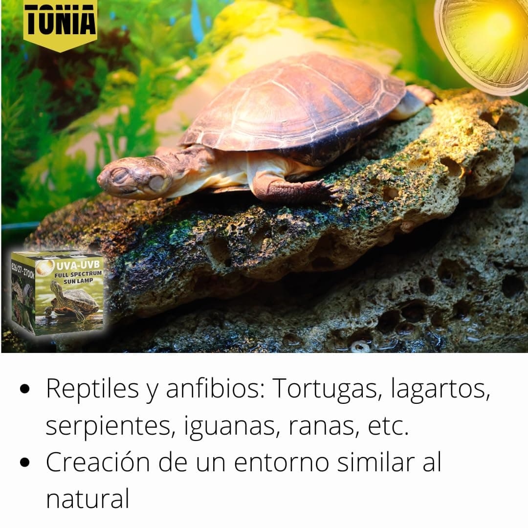 Tonia Bombilla UVB 3.0 25W y 50W - Luz Solar de Espectro Completo para Reptiles y Anfibios (1, 50w) — view 4