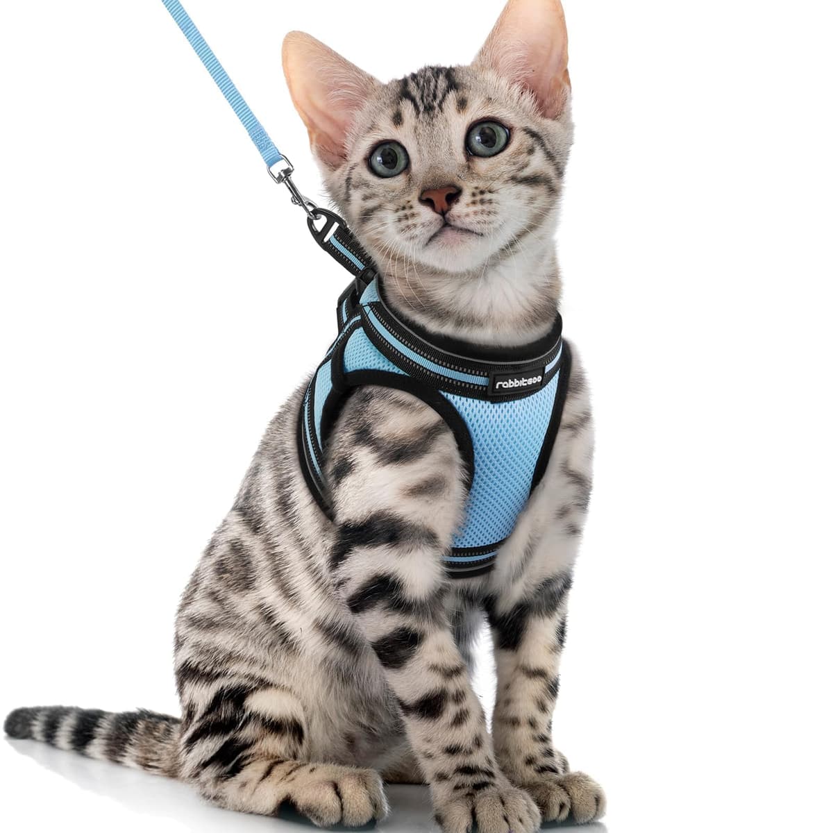 rabbitgoo Cat Harness and Leash Set for Walking Escape Proof, Adjustable Soft Kittens Vest with Reflective Strip for Cats, Comfortable Outdoor Vest, Black, Small — view 39
