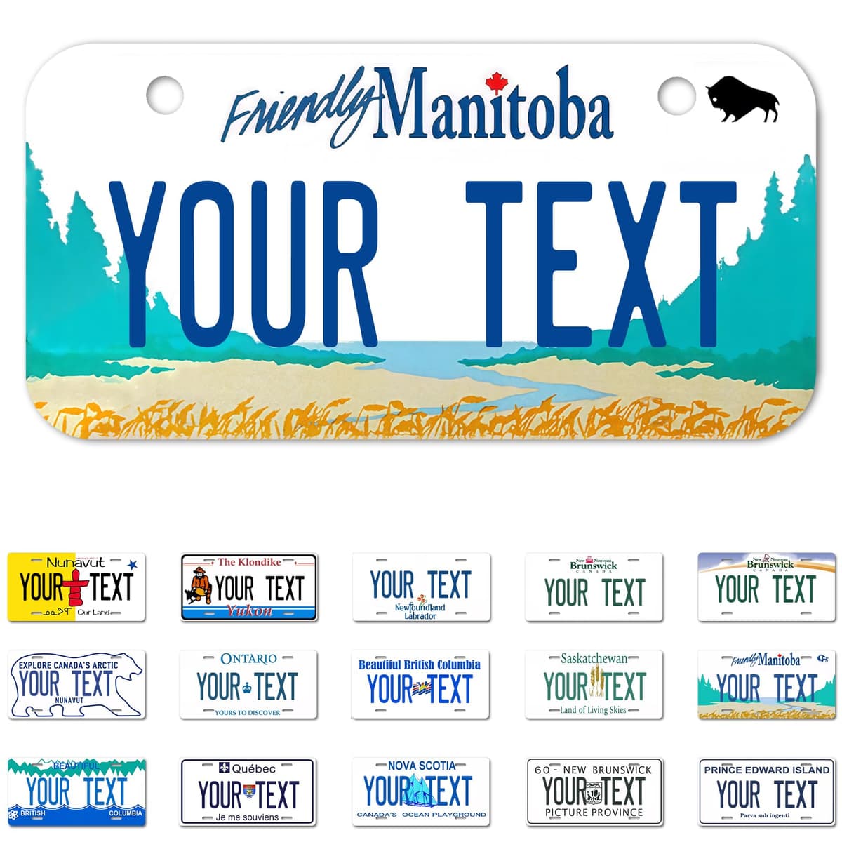 Alberta License Plate, 6"×12" Custom License Plate — view 37