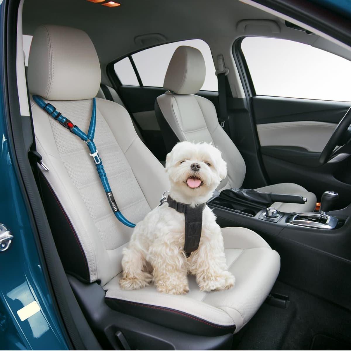 Comfortable Dog Seat Belt Harness for Car - 2-in-1 Leash and Restraint Secures to Headrest. Adjustable Bungee, Strong, Durable, 360 Degree Swivel Attach Won't Twist, Reflective, Easy to Use (Blue) — view 2