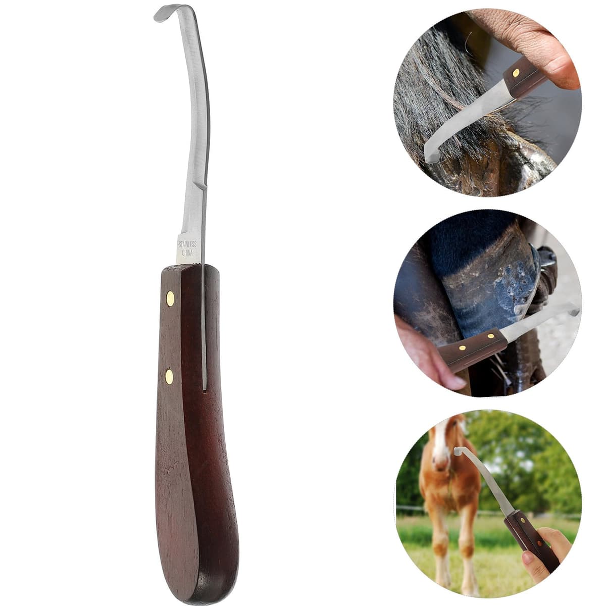 Cuchillo Reutilizable para Pezuñas de Ganado, Cortador Profesional de Doble Filo en Acero Inoxidable, Herramienta para Herrar Caballos en Pastos y Establos — view 5