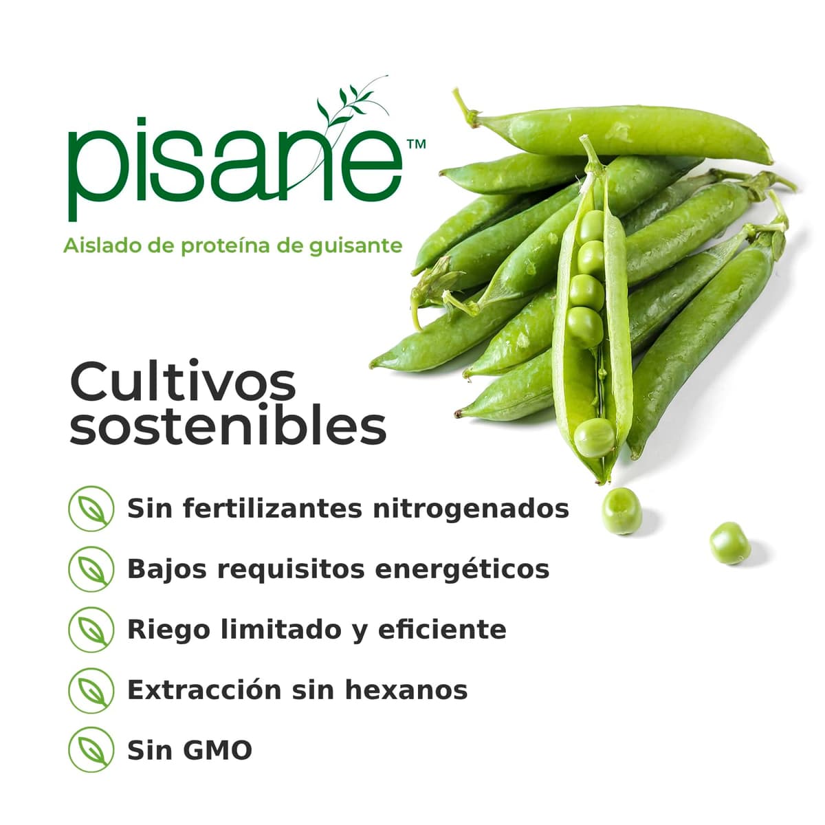 Weider Vegan Protein (750g) Sabor Vainilla. Proteína Vegana 23g/dosis Aislada Guisante (Pisane) y Arroz. Con Vitamina B12 y Stevia. Sin Gluten, Sin Azúcar. Bote 50% Reciclado, 100% Reciclable — view 5
