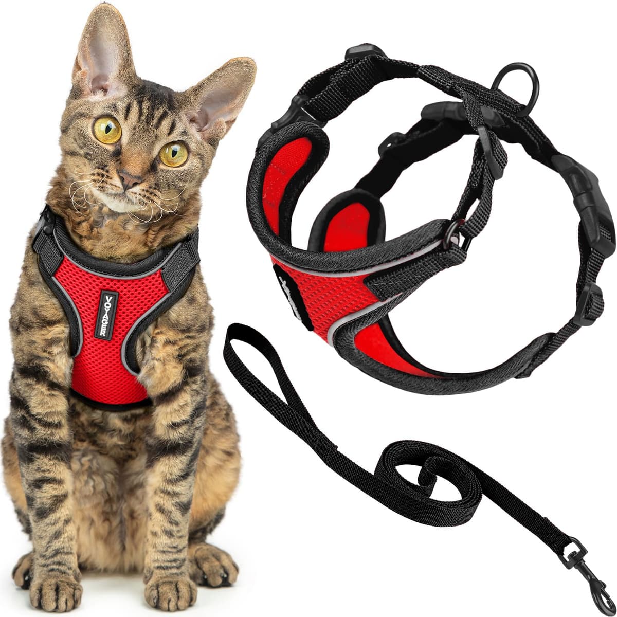Best Pet Supplies Voyager Step-in Lock Pet Harness – All Weather Mesh, Adjustable Step in Harness for Cats and Dogs Turquoise (Matching Trim), XL (Chest: 22-36") — view 23