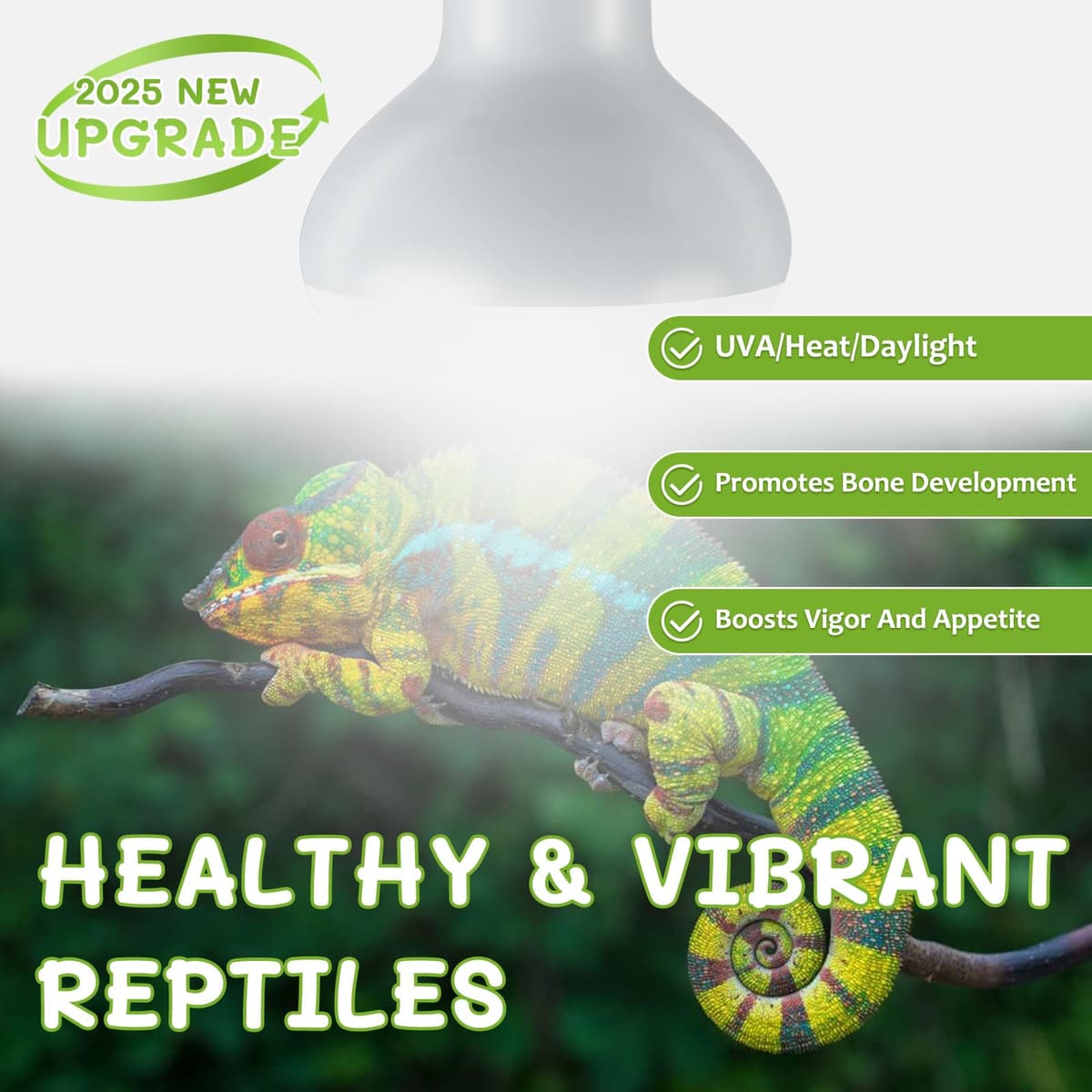 Reptile Heat Lamp Bulbs, Heat Bulb for Reptiles 2 Pack-100W, E27 Vivarium Basking Spot Light for Tortoise, Lizard, Snake, Bearded Dragon, Puppy, Chick — view 4