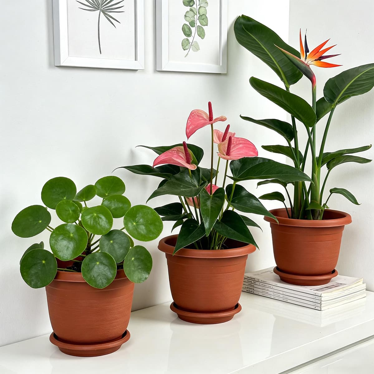 6Pack 15.5cm/6.1-in Plant Pots Indoor Plastic Flower Pots with Drainage Holes and Saucers Modern Decorative Planters Succulent Indoor Outdoor Plants - Terracotta — view 5