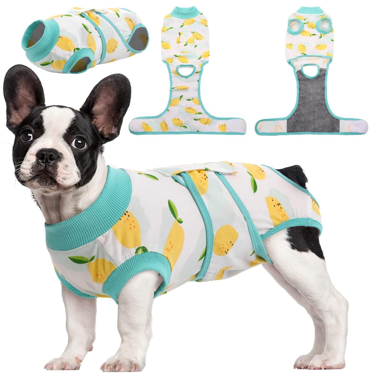 Kuoser Dog Recovery Suit Female, Dog Onesie for Surgery, Female Spay and Male Neuter Onesie for Post-Op Care, Prevent Licking Puppy Onesies — view 12
