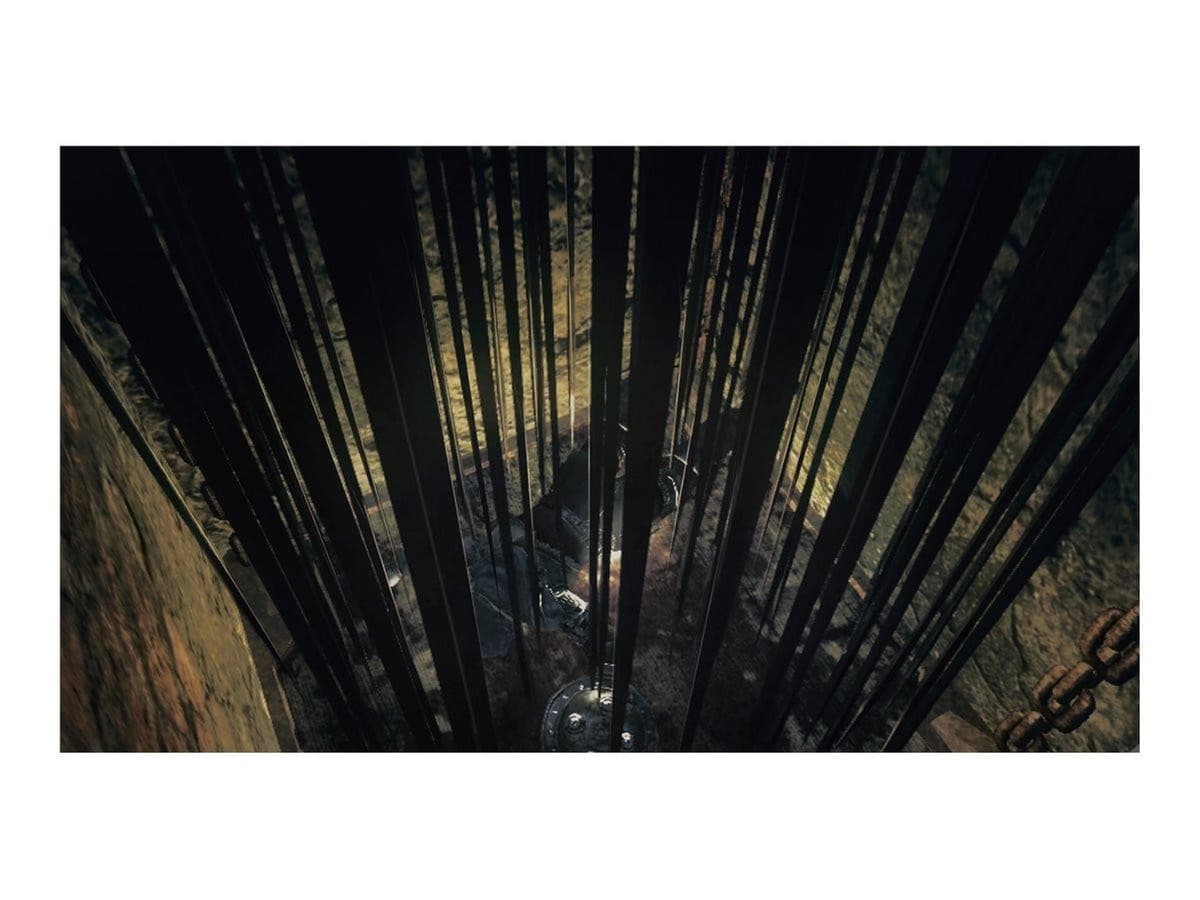 Dark Souls Trilogy (PS4) — view 2