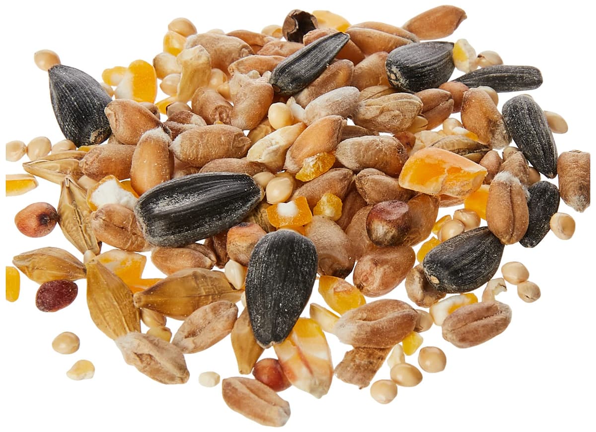 Extra Select Seed Mix Wild Bird Food, 5 Litre (Package may vary) — view 2