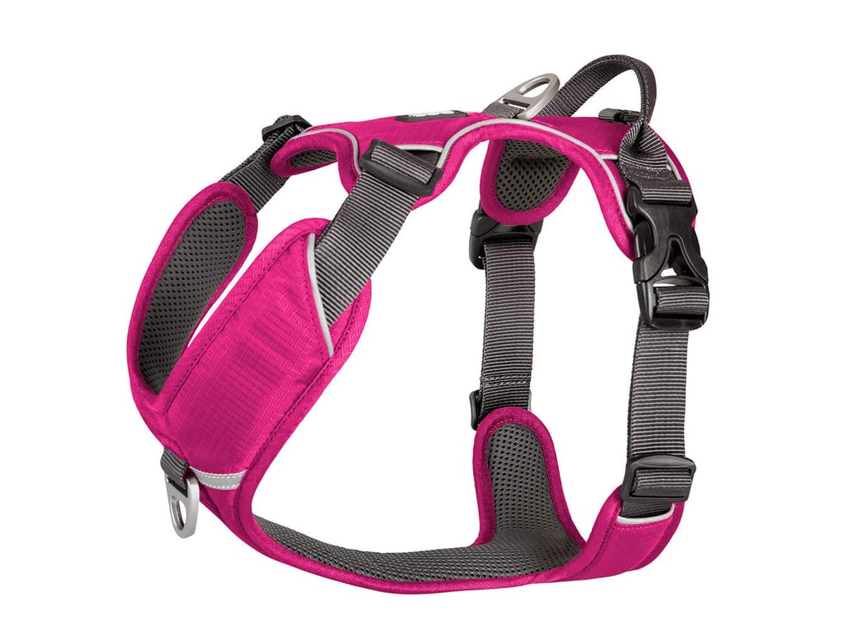 DOG Copenhagen Hundegeschirr V2 Comfort Walk (Pro) Black Talla XS — view 4