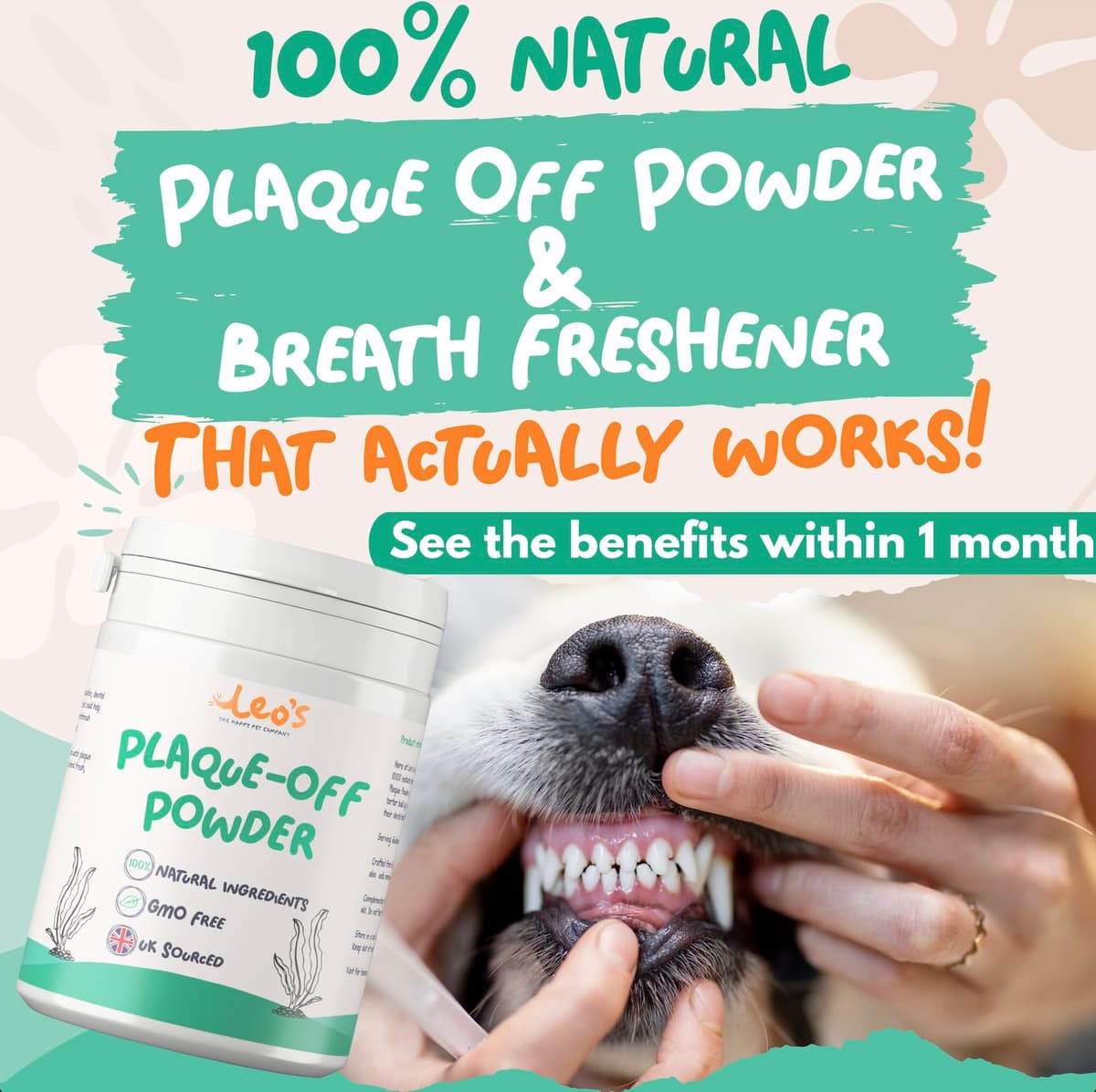 Leo's Plaque Off Powder For Dogs & Cats | 200g | Pet Teeth Cleaning | Cat & Dog Breath Freshener Food Topper | 100% Natural | No Dog Toothbrush or Dog Toothpaste | Plaque Remover For Dogs & Cats — view 2