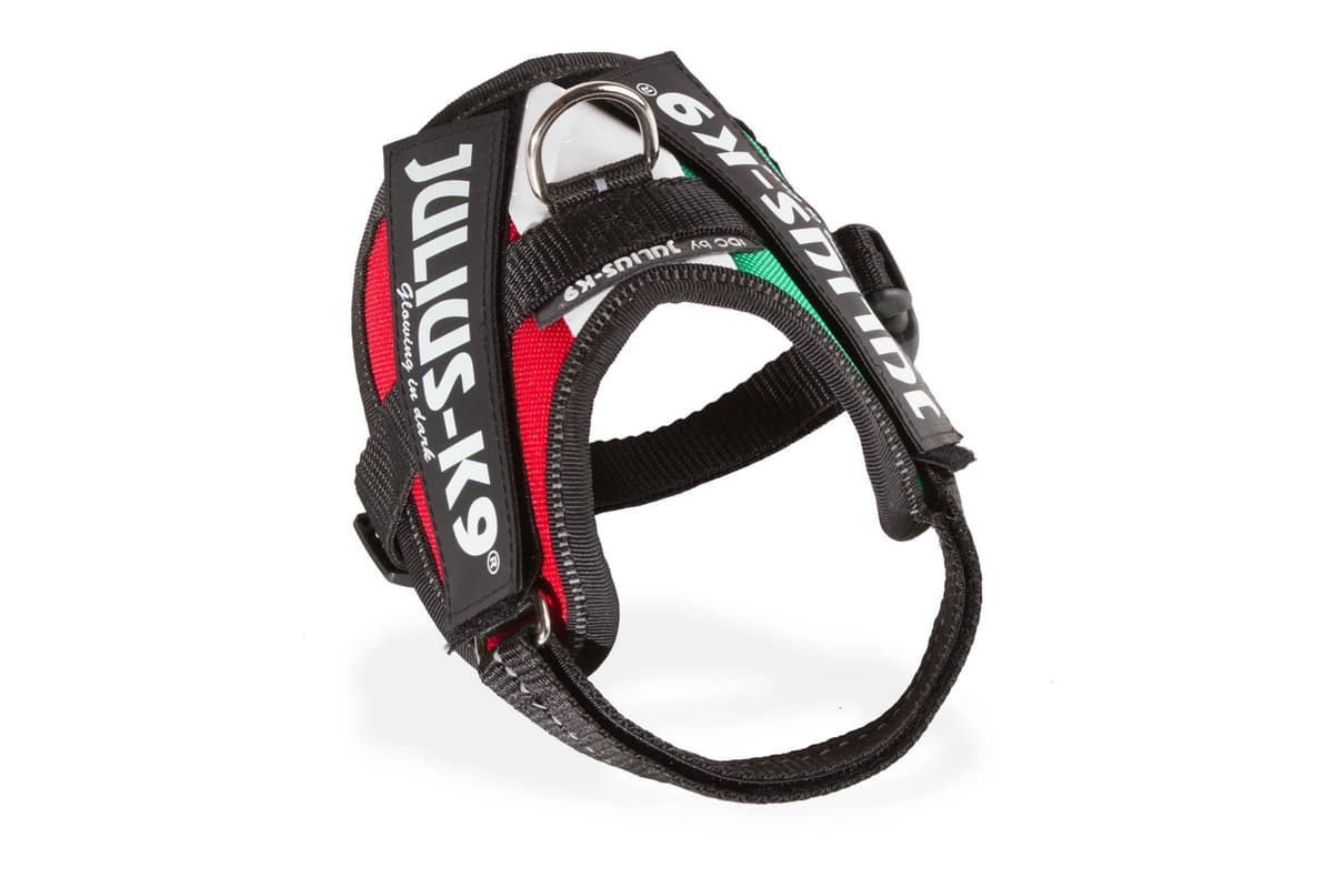 Julius-K9, 16IDC-AM-M, IDC Powerharness, dog harness, Size: Mini, Aquamarine — view 83