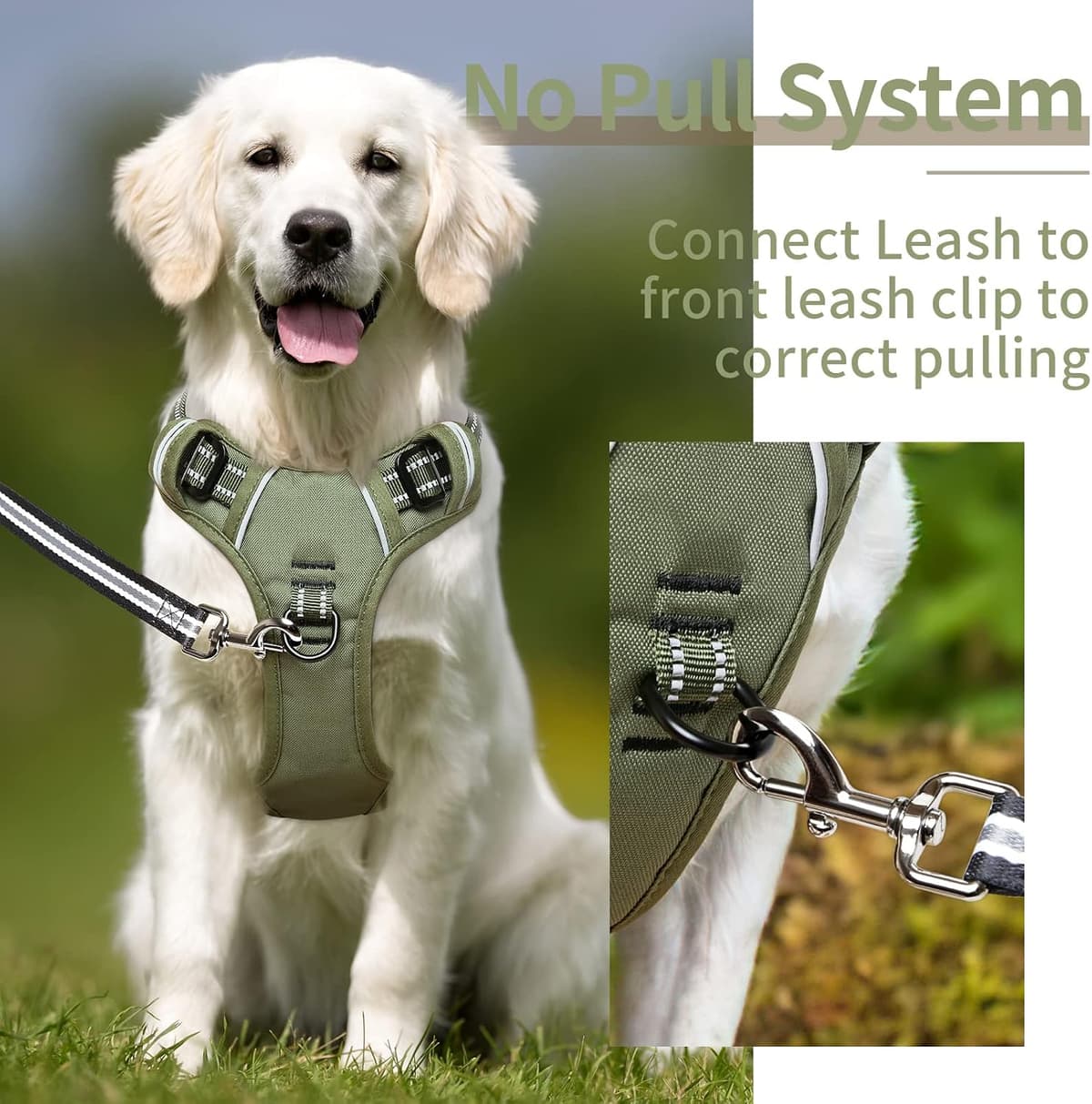 HEELE Dog Harness, Dog Harness for Small Medium Large Dogs No Pull Adjustable Padded Reflective Harness with Handle for Walking Training, Green, S — view 5
