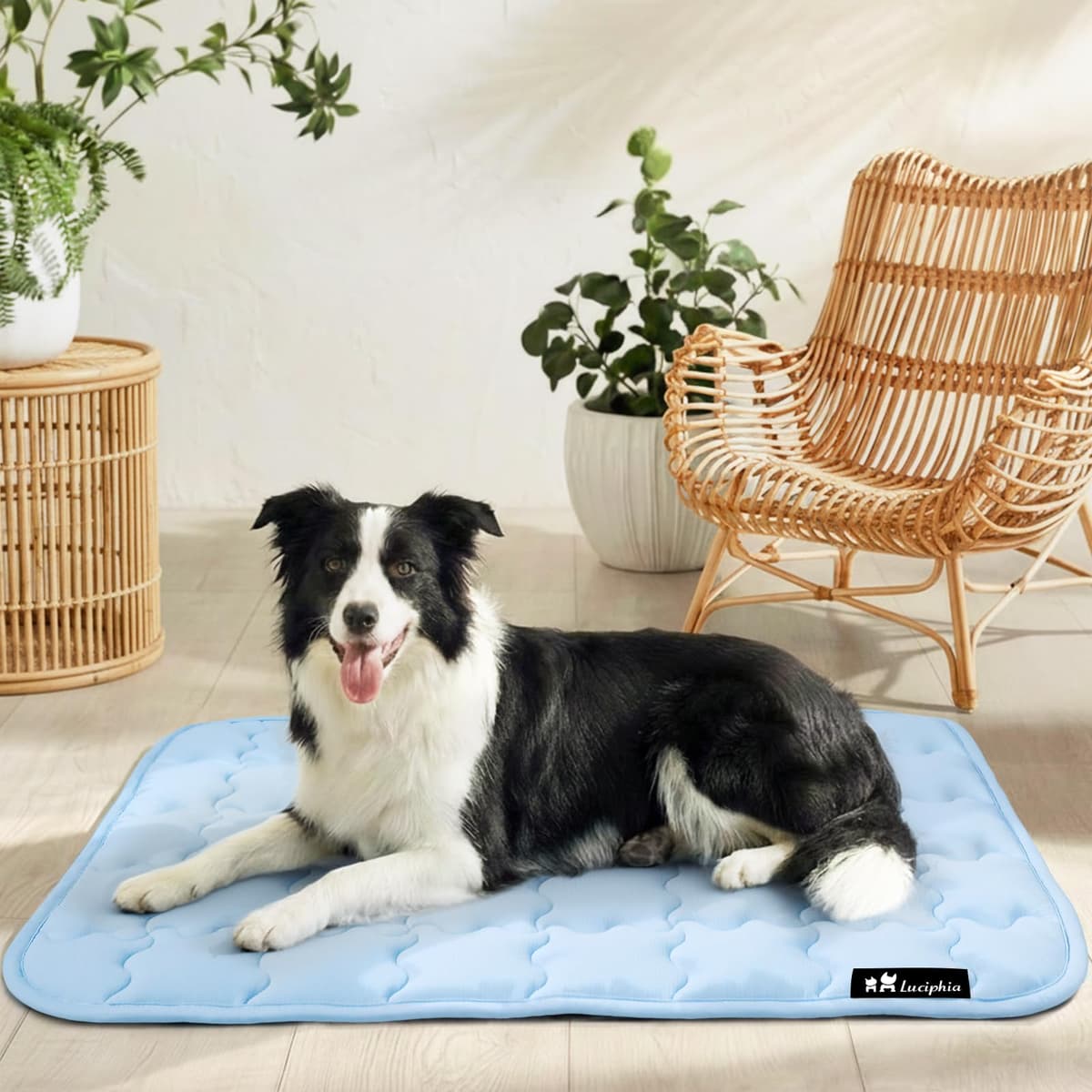 luciphia Alfombra refrescante para perros y gatos,Alfombrilla para perros,cojín refrescante para el verano,cama lavable para perros,manta refrescante perros grandes,medianos y pequeños Verde 102*153cm