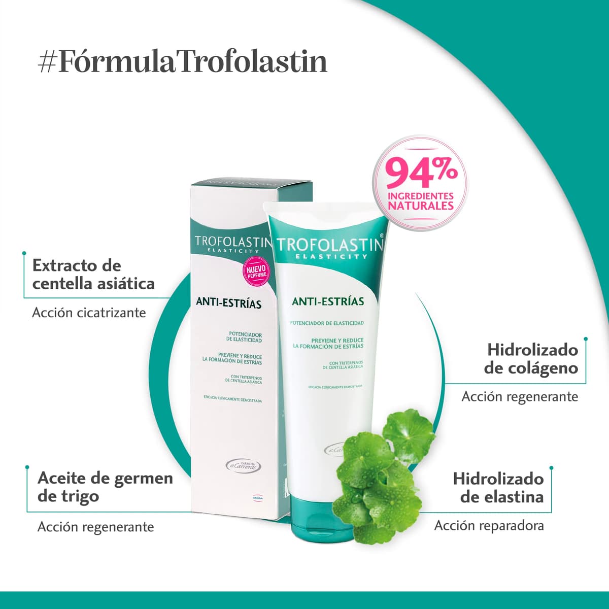 Trofolastin, Crema Antiestrías Reafirmante, Hidratación y Prevención de Estrías, Con Centella Asiática, Piel Flexible y Elástica, 250ml — view 2