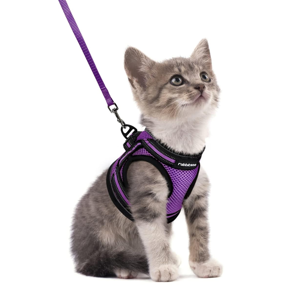 rabbitgoo Cat Harness and Leash Set for Walking Escape Proof, Adjustable Soft Kittens Vest with Reflective Strip for Cats, Comfortable Outdoor Vest, Black, Small — view 37