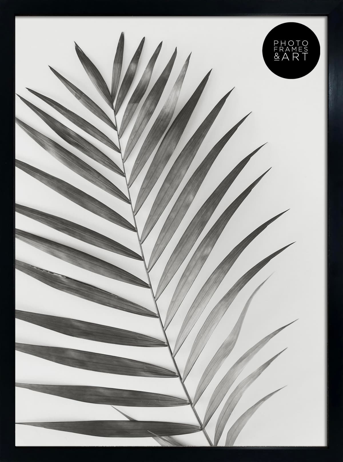 pf+a REAL GLASS A3 Black Frame Glass - PREMIUM A3 Picture Frame Black - Oxford A3 Print Portrait and Landscape Display — view 34