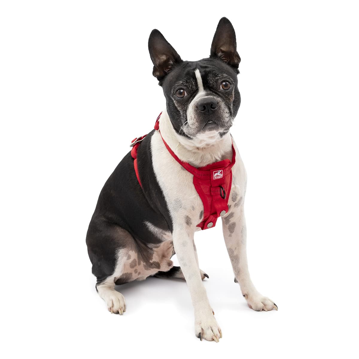 Enhanced Strenght Tru-Fit Smart Harness, Red, Small