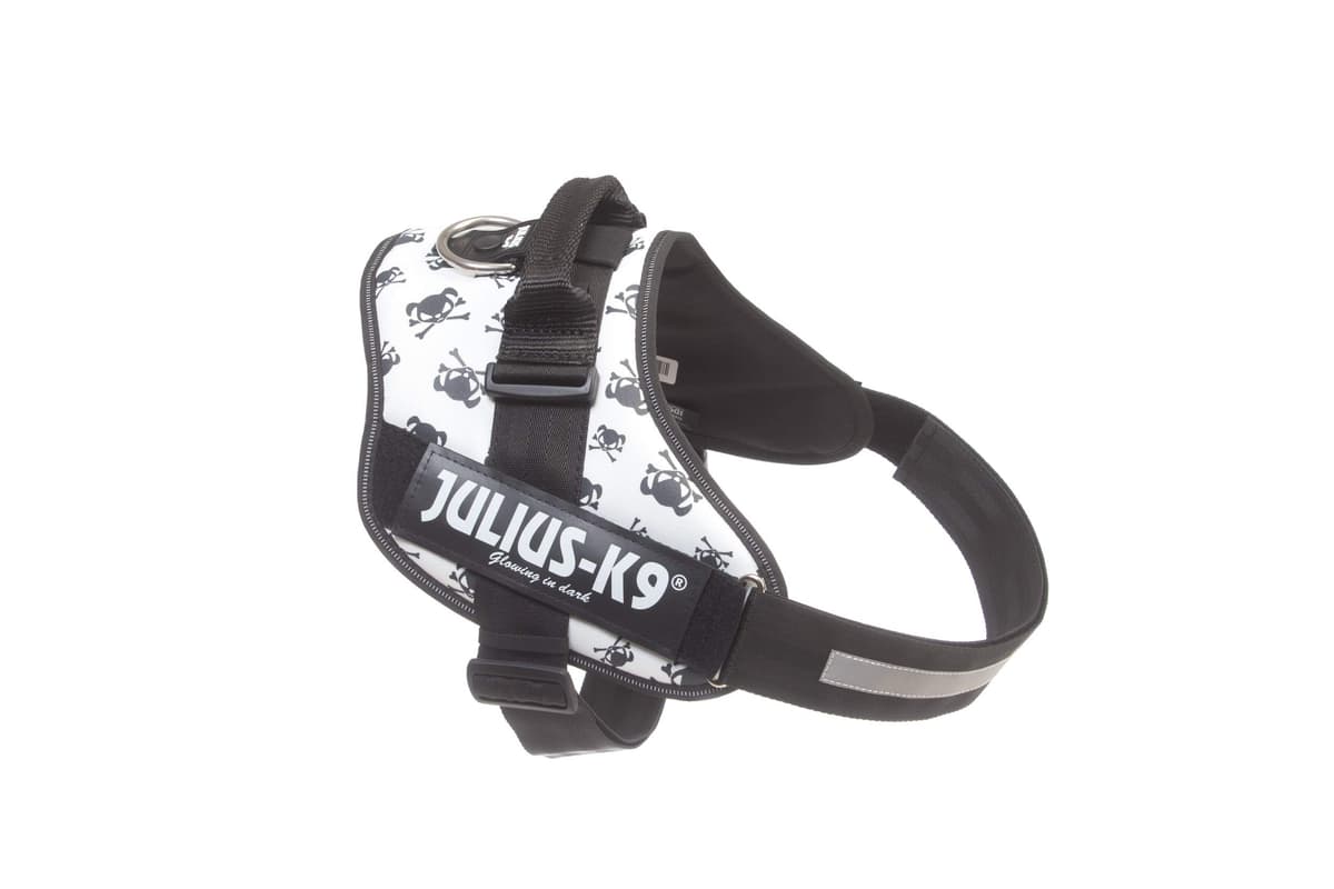 Julius-K9, 16IDC-AM-M, IDC Powerharness, dog harness, Size: Mini, Aquamarine — view 457