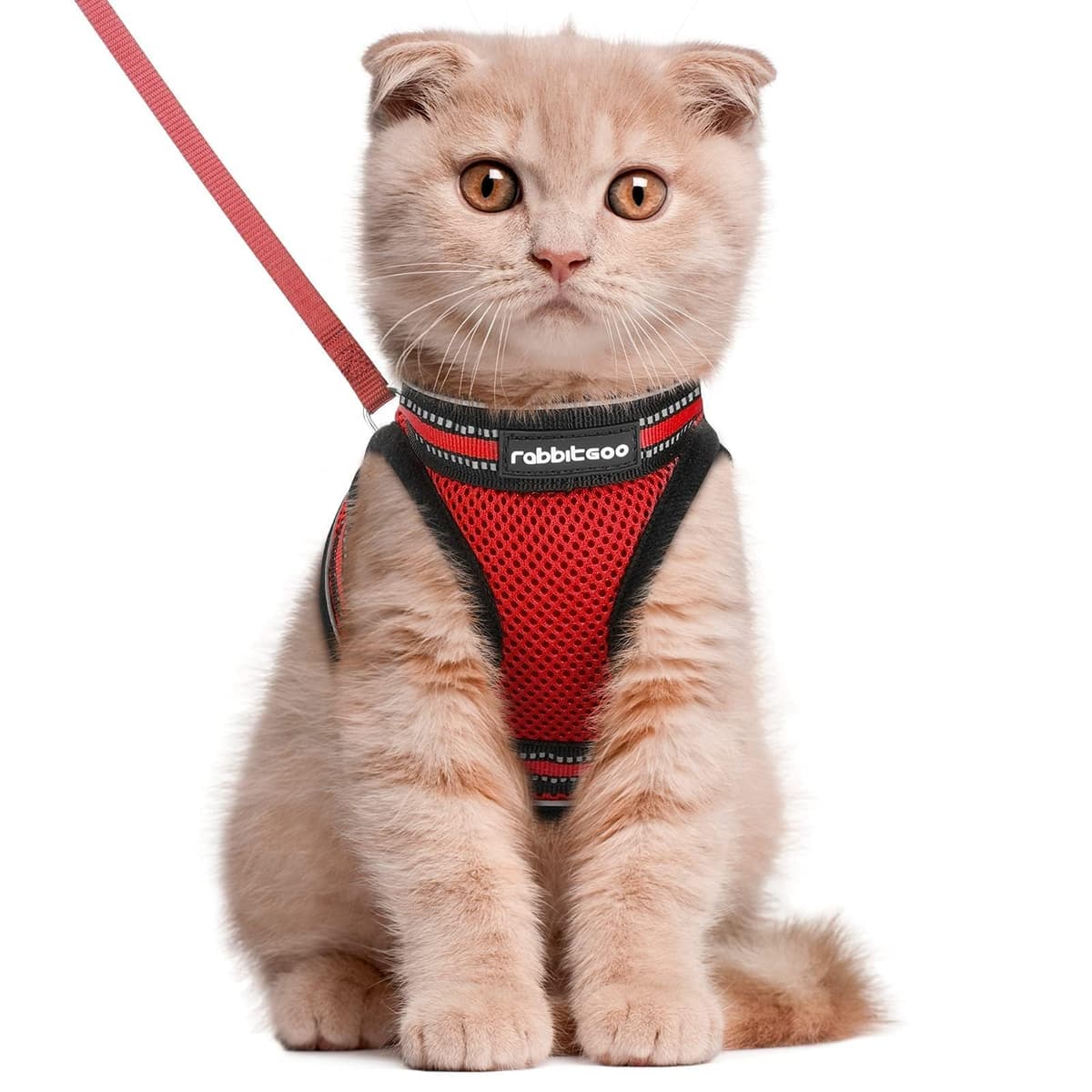 rabbitgoo Cat Harness and Leash Set for Walking Escape Proof, Adjustable Soft Kittens Vest with Reflective Strip for Cats, Comfortable Outdoor Vest, Black, Small — view 34