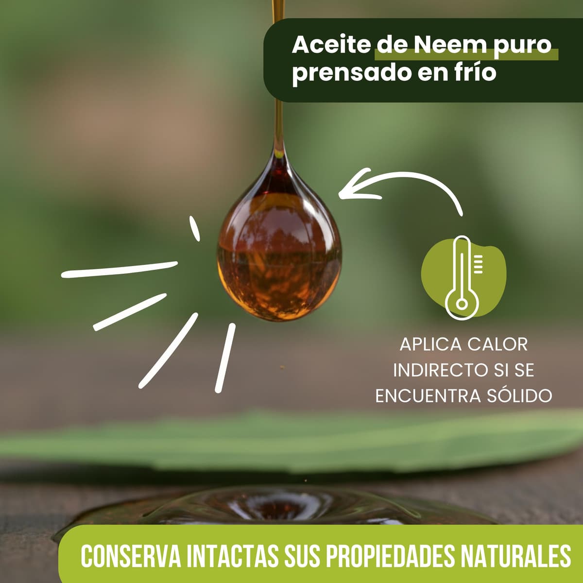 Bioky Aceite de Neem Puro 500 ML - 1ª Presión en Frío, 100% Natural, Virgen y Sin Aditivos - Varios Formatos de 250ML a 20L — view 2