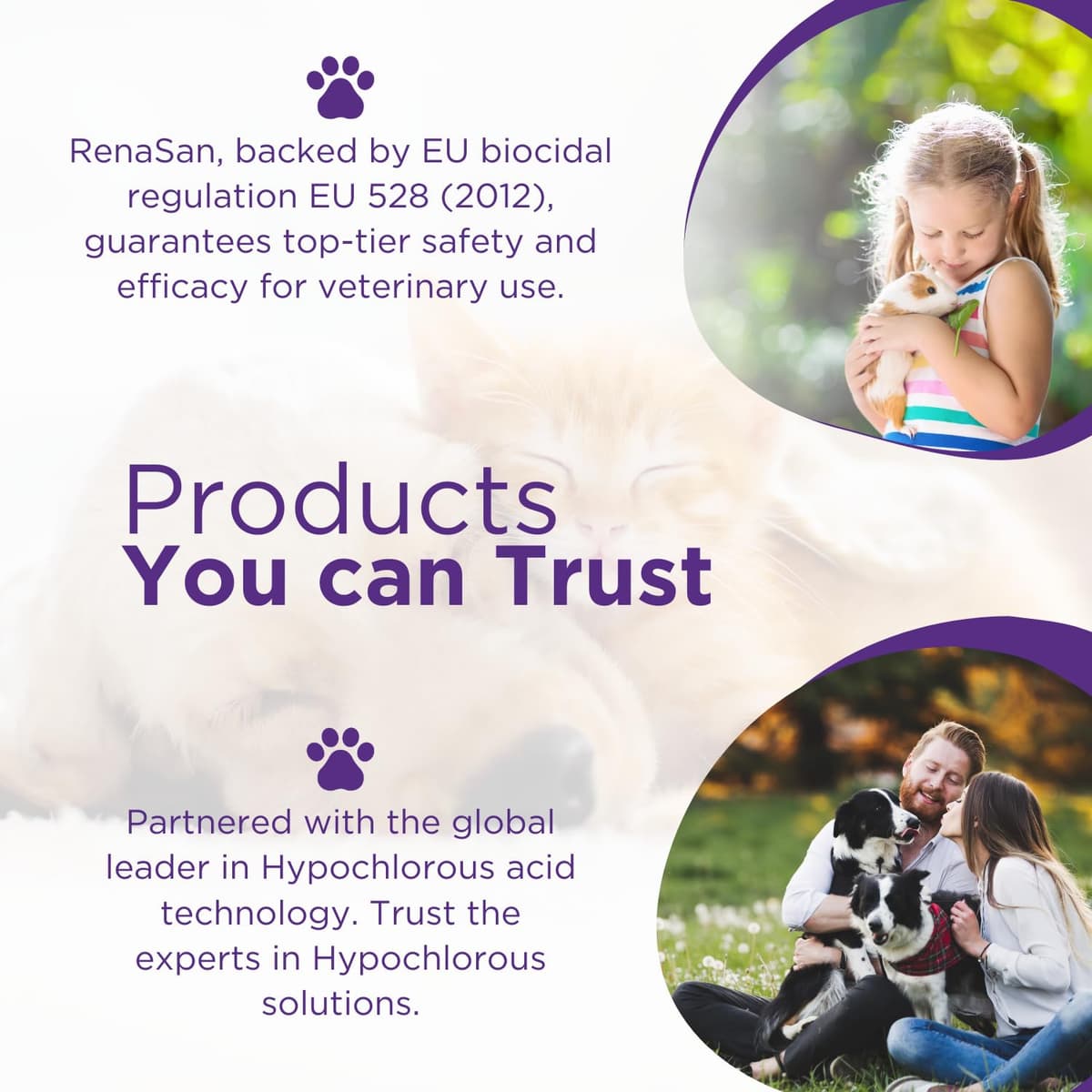 RenaSan Animal First Aid Spray (100ml) – Wound Disinfection, Kills Bacteria & Stops Itching, Alcohol-Free, Non-irritating, for Dogs, Cats & all other animals. — view 8