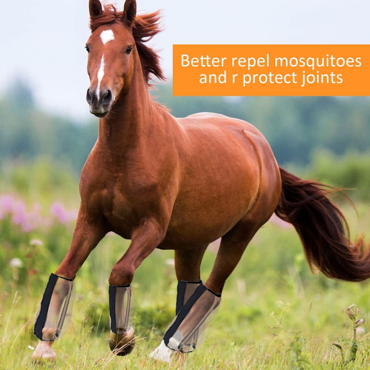 4 fundas antimosquitos para patas de caballo, tamaño universal, malla fina, botas de caballo transpirables, accesorios para botas de caballo para aliviar la irritación de las articulaciones, daños en — view 2