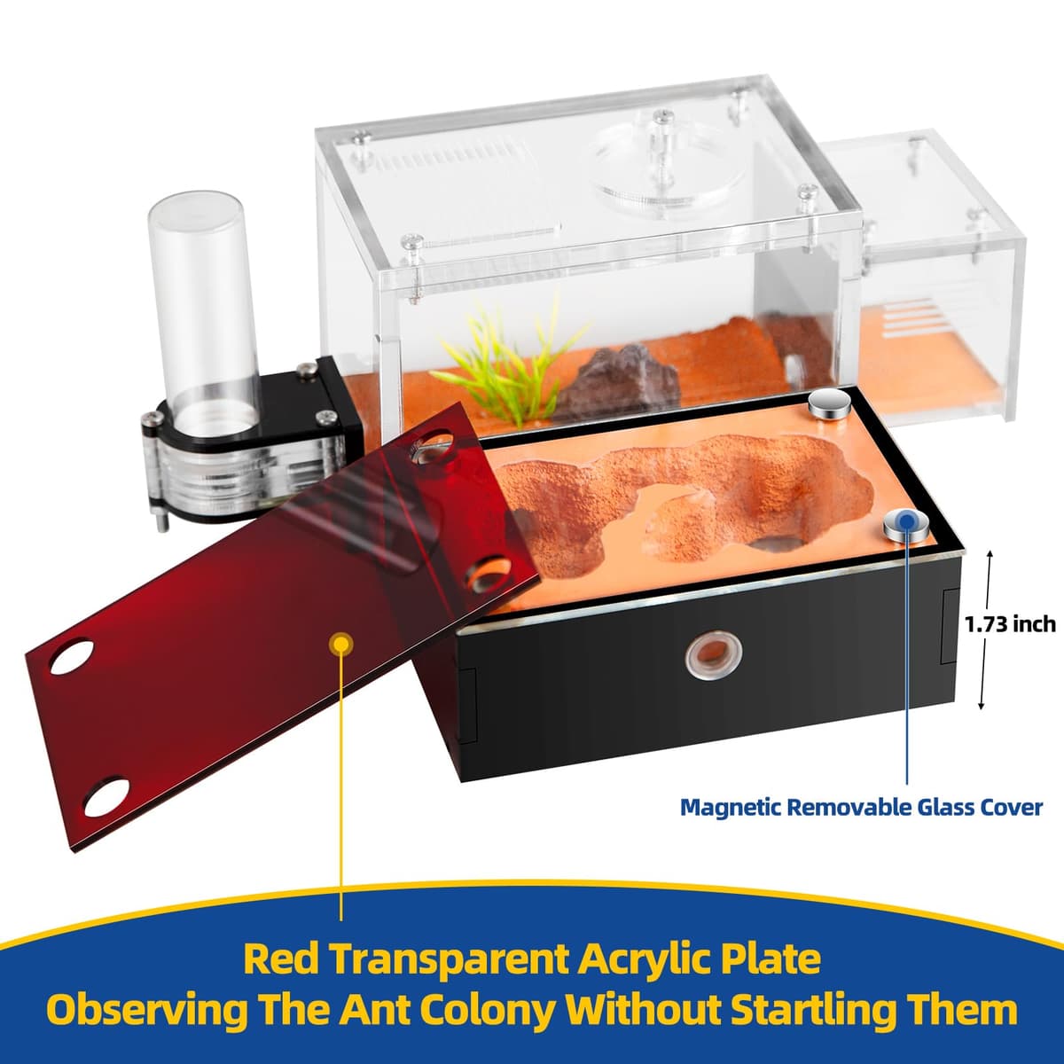 Formicarium - Ant Farm Habitat for Live Ants & Queen, Adult Educational Kit for Ant Behavior Study and Learning, Ant Nest — view 2