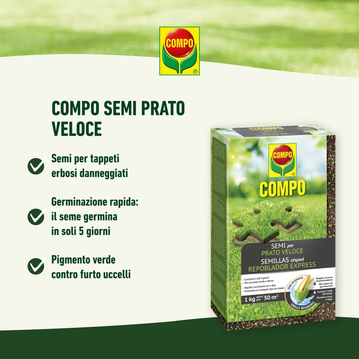 COMPO Semillas de césped repoblador Express, para 50 m², 1 kg, 2357802011 — view 2