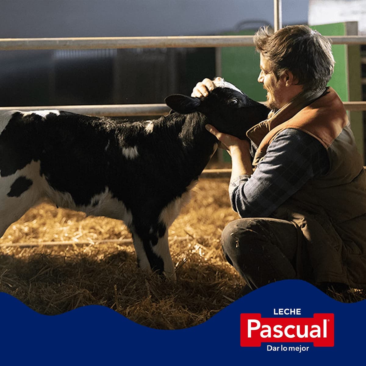 Leche Pascual - Leche Entera - Bienestar Animal - Pack 6 x 1L - Ideal para niños y adultos, Producto Natural y Saludable — view 7