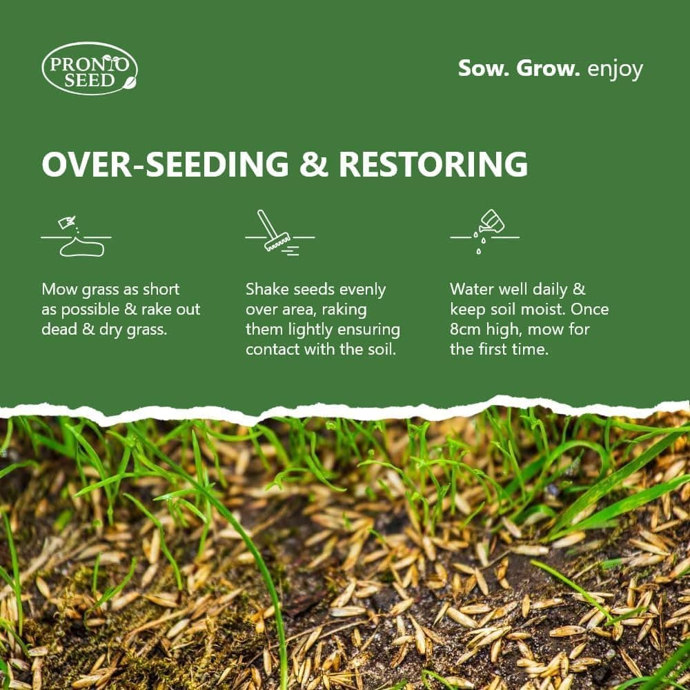 Pronto Seed Premium Fast Growing Grass Seed 1.4kg – Hard Wearing Lawn Seeds for Overseeding & New Turfs – Covers 84m, Hard Wearing, DEFRA Approved & Tailored for UK Climate (1.4kg) — view 4