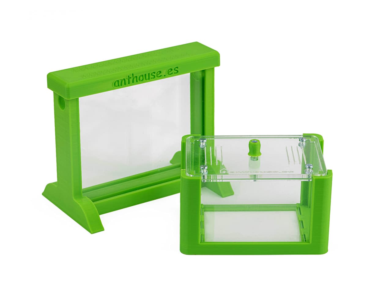 Anthouse - Hormiguero Natural de Arena Básico- Terrario 3D de Hormigas con Colonia Incluida - Kit Hormiguero Acrílico Tipo Sándwich (12x10x1 cm), Caja de Forrajeo con Tapadera (18x10x5 cm) - Verde — view 4