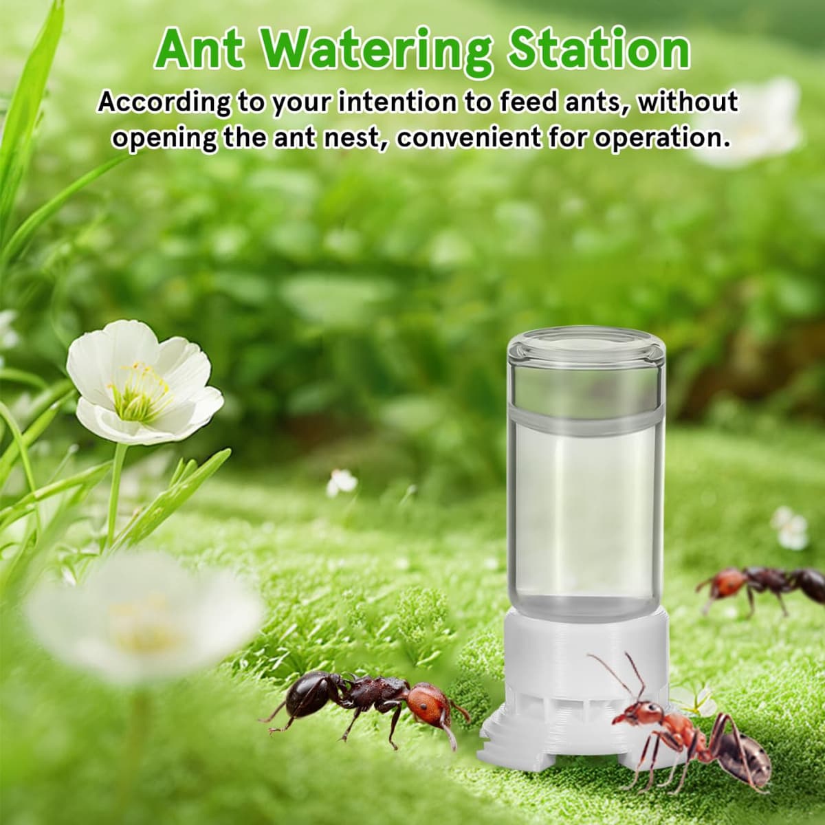 Yardwe Ant Water Feeders 2pcs Ant Mini Liquid Feeder Plastic Transparent Bird Water Dispenser Ant Breeding Containers Nest Ant Farm House for Ant — view 5