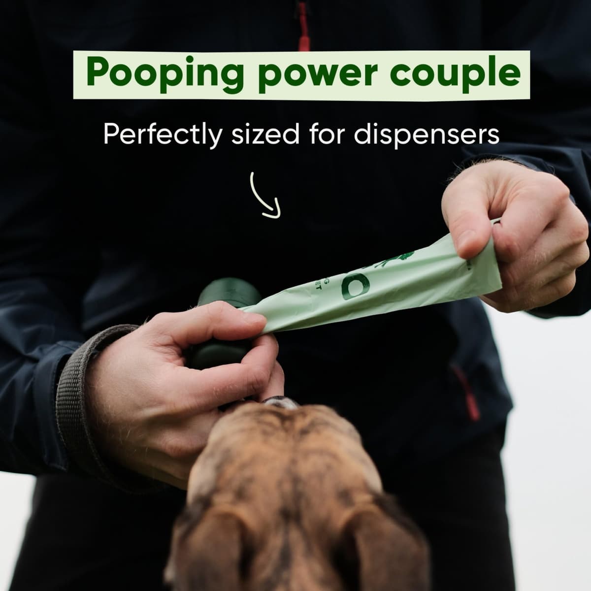 Beco Dog Poo Bags - Strong, Leakproof & Large - 94% Recycled Plastic, Extra Thick Dog Poop Bags, Heavy Duty - Unscented Refill Rolls, 270 Count — view 5