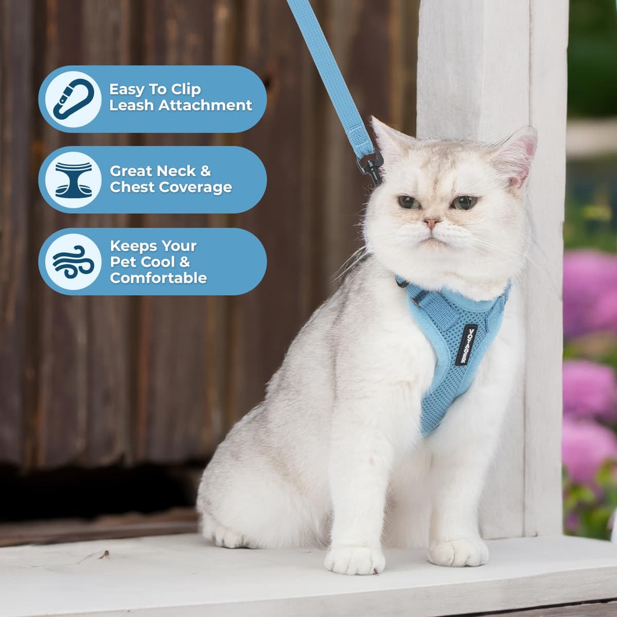 Voyager Step-in Lock Cat Harness and Reflective Cat Leash with Neoprene Handle by Best Pet Supplies - Supports Small, Medium and Large Breed Cats, Baby Blue, size XS - 5ft — view 5