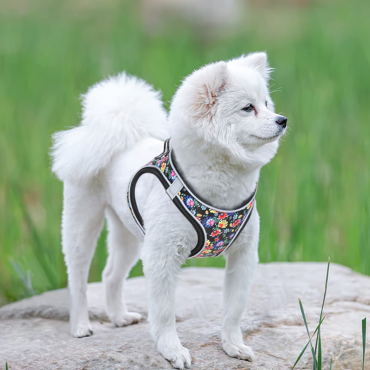 HEELE Arnes Perro Pequeño con Lineas Reflecantes Arnés Perro Antitirones Ajustable Suave Acolchado Cómodo para Viajar Pasear con Mascota, Flores Nanranja, S — view 35