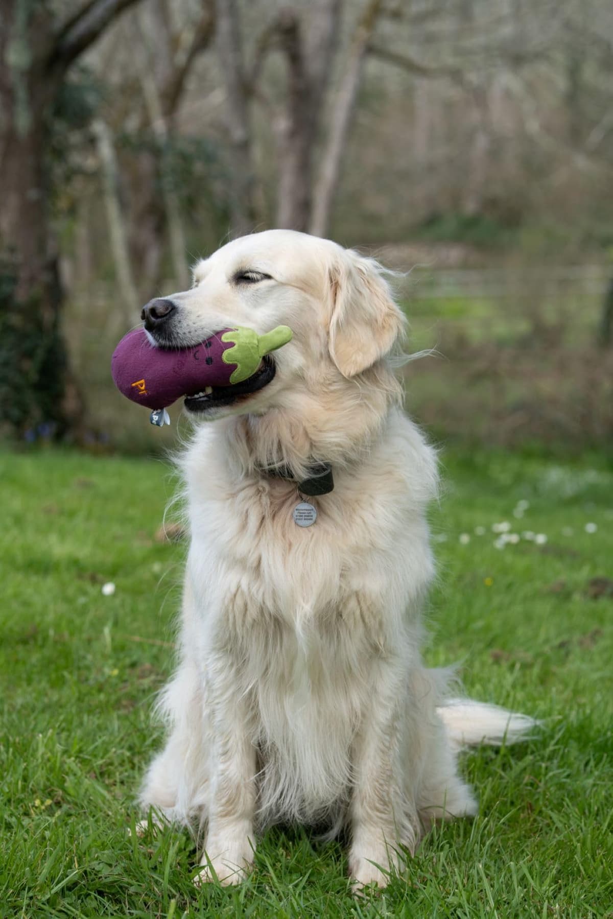 Petface Foodie Faces Aubergine Plush Dog Toy — view 3