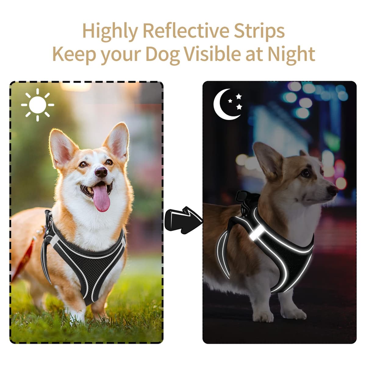 HEELE Arnes Perro Pequeño con Lineas Reflecantes Arnés Perro Antitirones Ajustable Suave Acolchado Cómodo para Viajar Pasear con Mascota, Flores Nanranja, S — view 89