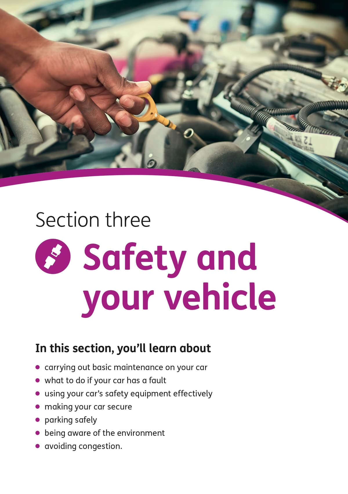 The Official DVSA Theory Test for Car Drivers - 2025 Edition — view 3