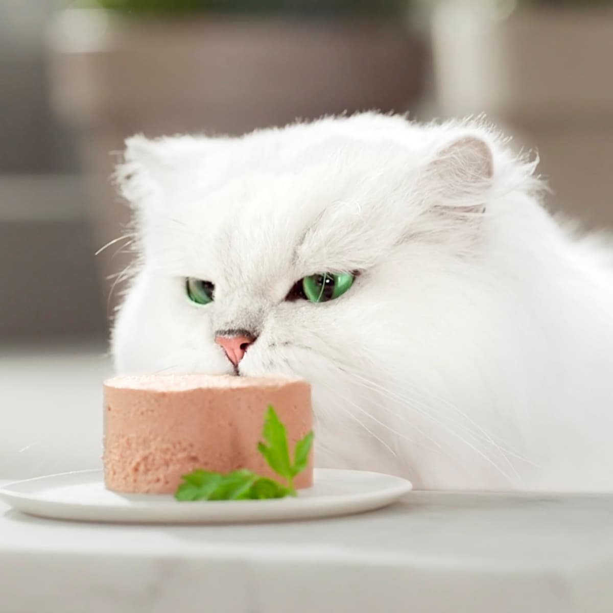 GOURMET Gold Mousse, Comida Húmeda para Gato Adulto, Mousse, Surtido de Buey, Conejo, Cordero y Ternera, 96 latas — view 3