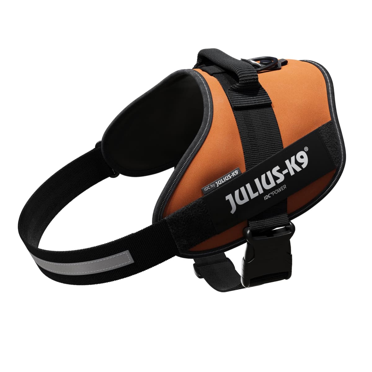 Julius-K9, 16IDC-AM-M, IDC Powerharness, dog harness, Size: Mini, Aquamarine — view 339