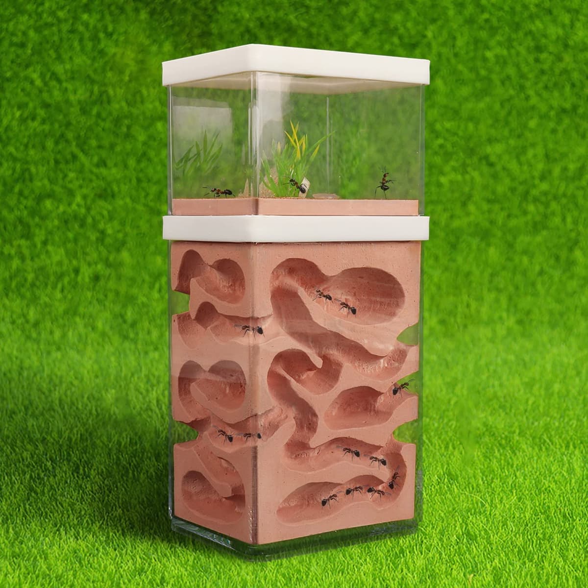 aleawol Ant Nest Farm Natural Gypsum, Transparent Ant Formicarium World House Feeding Box for Observing Habits Science Experiment Gift — view 2