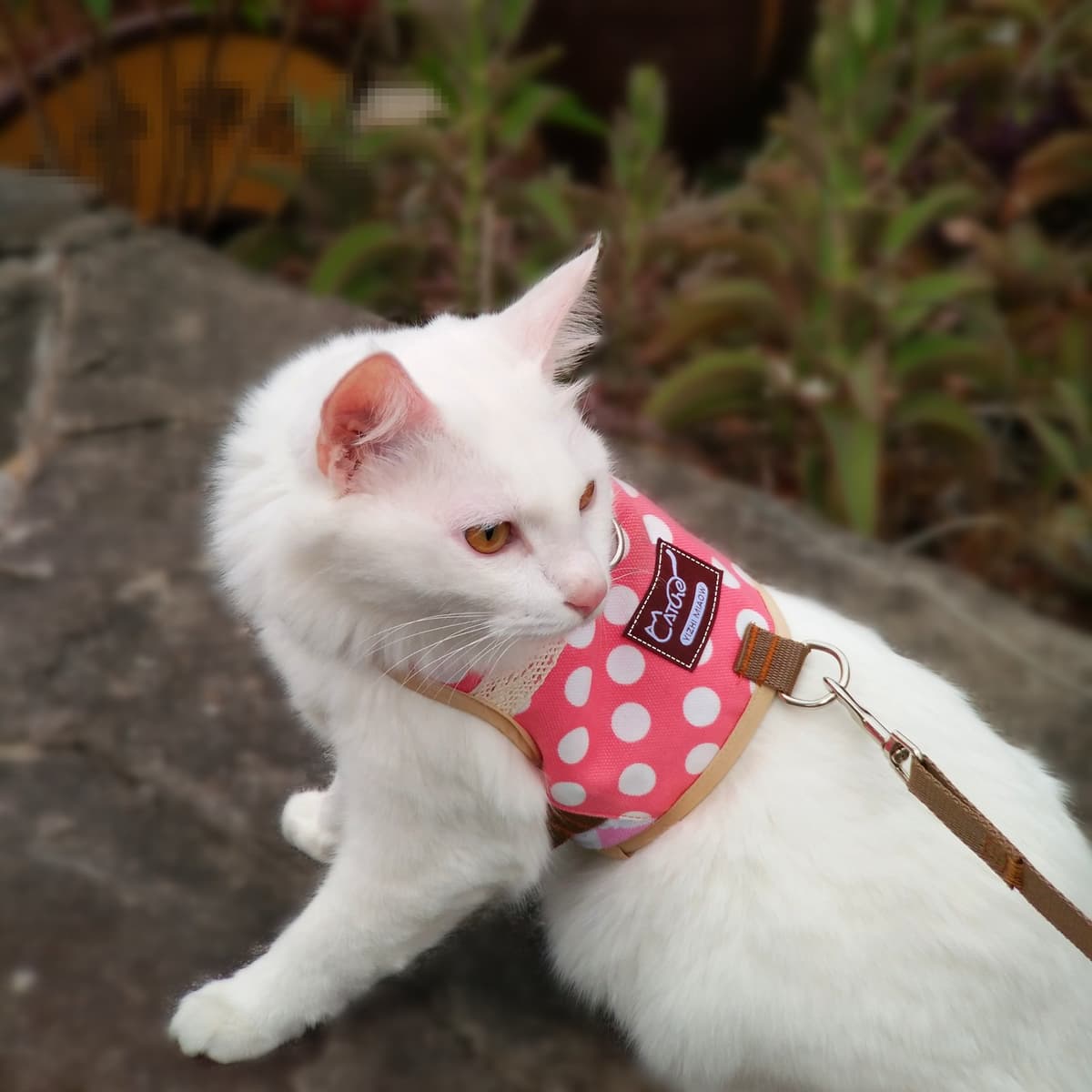 Yizhi Miaow Escape Proof Cat Harness with Leash Large, Adjustable Cat Walking Jackets, Padded Cat Vest Polka Dot Pink — view 3