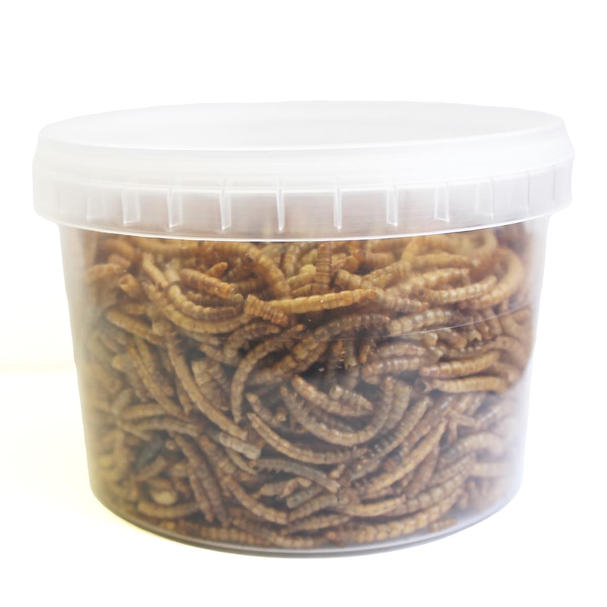 Extra Select Dried Mealworms for Wild Birds: Protein Rich Wild Bird Food for Robins and Wildlife - Meal Worms for Garden Birds - 500 ml — view 3