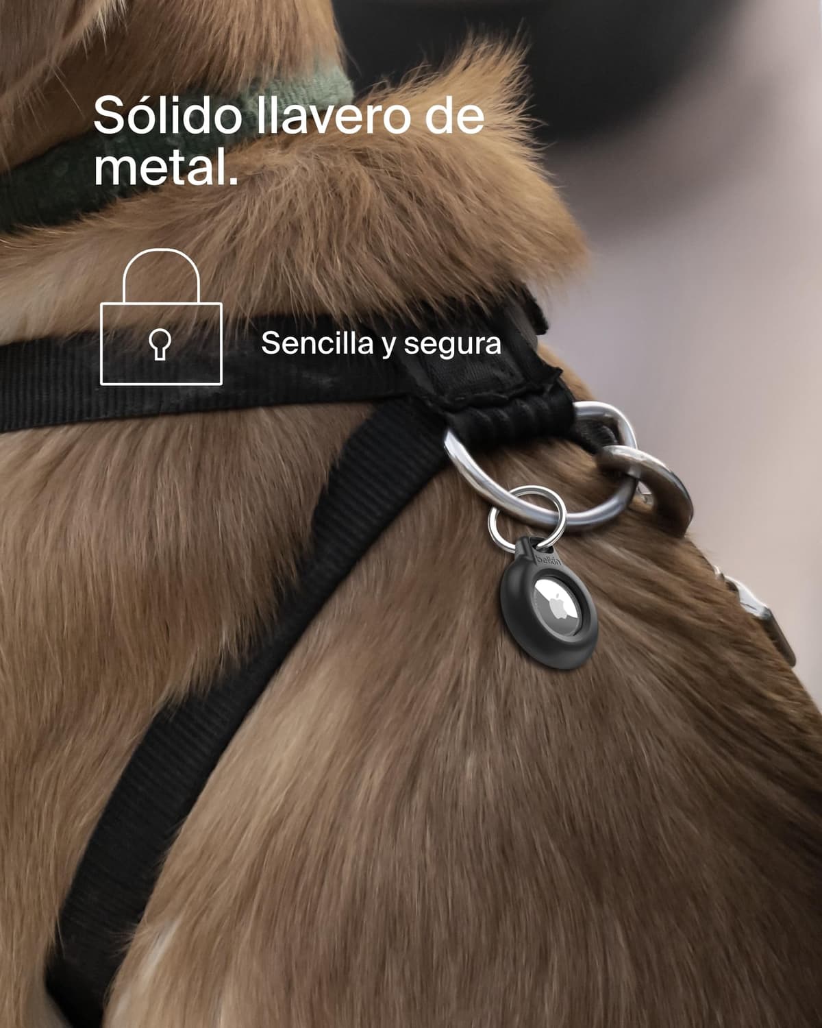 Belkin Secure Holder Funda Impermeable con Llavero para AirTag, Cubierta Resistente y antiarañazos, Accesorio Protector con Anillo para Llaves, Mascotas, Mochilas, Maletas y Otros, Negro una Unidad — view 4