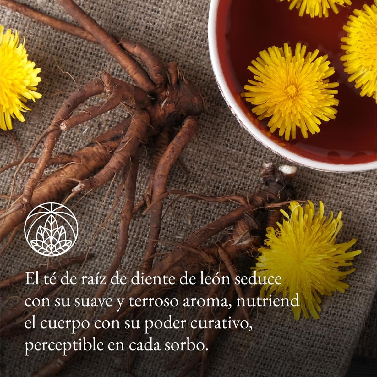 Raíz de diente de león Monte Nativo (300g) - Té Diente de leon infusion - Dandelion tea - Infusiones de hierbas - Té de hierbas – Cuidadosamente cortado y secado – 100% puro y natural — view 3