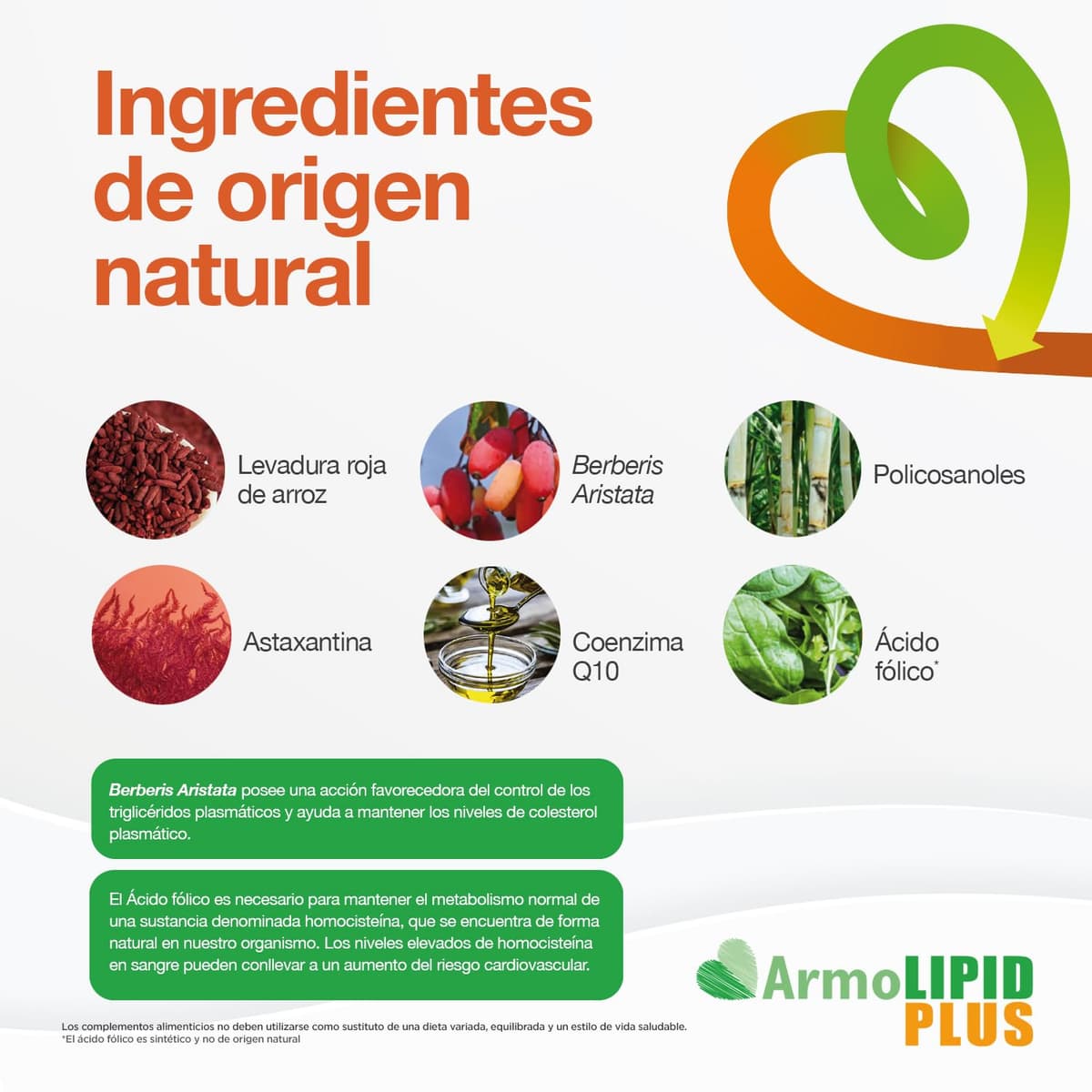 ArmoLIPID PLUS - Complemento Alimenticio Para el Control del Colesterol y de los Triglicéridos, Con Levadura Roja de Arroz, Berberina, Coenzima Q10, Astaxantina y Ácido Fólico, 60 Comprimidos — view 6